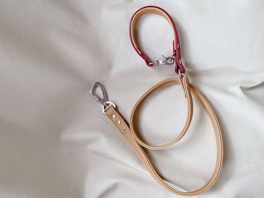 NEW LEASH SOFTY