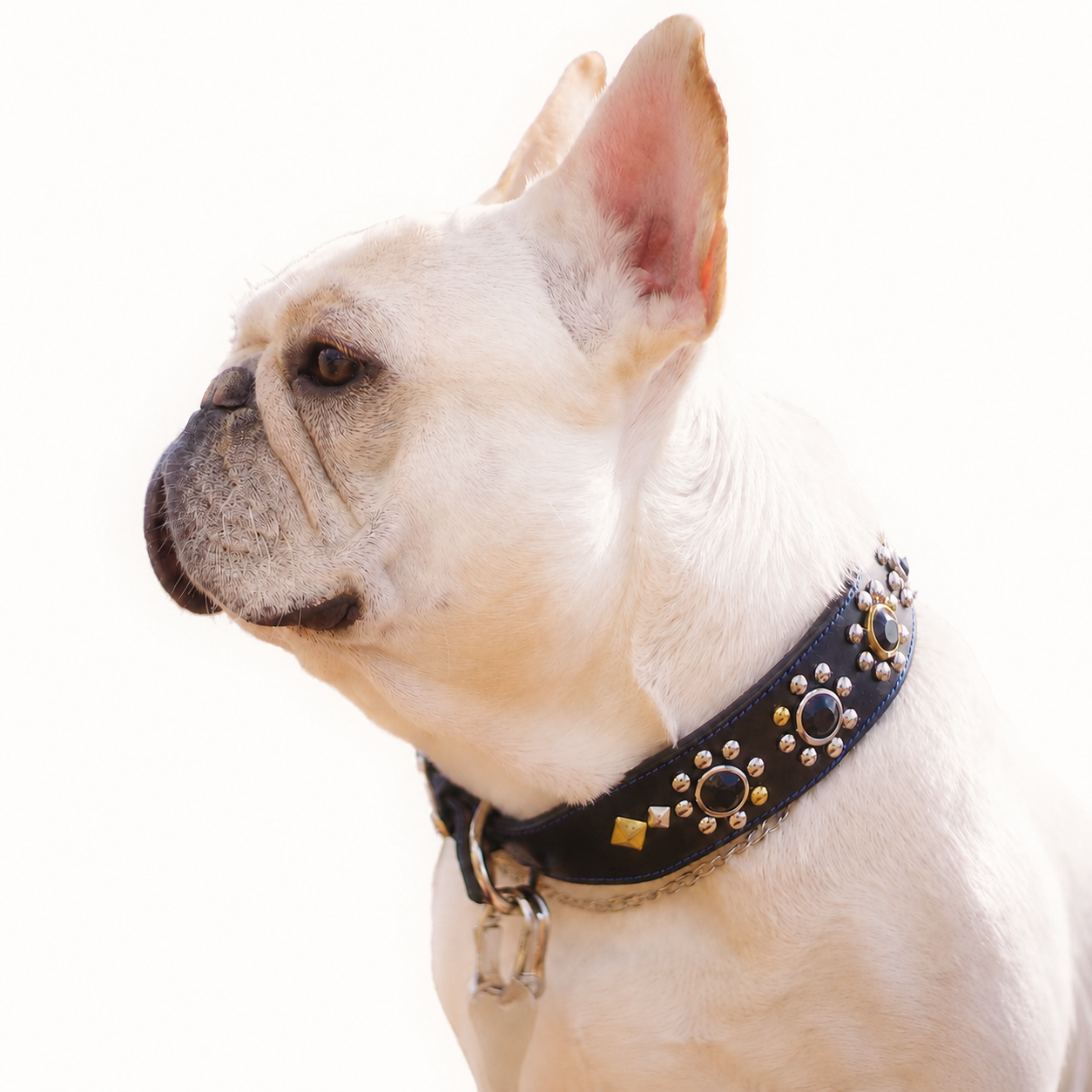 Collar