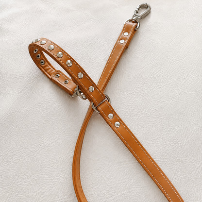 Leash-Tusk