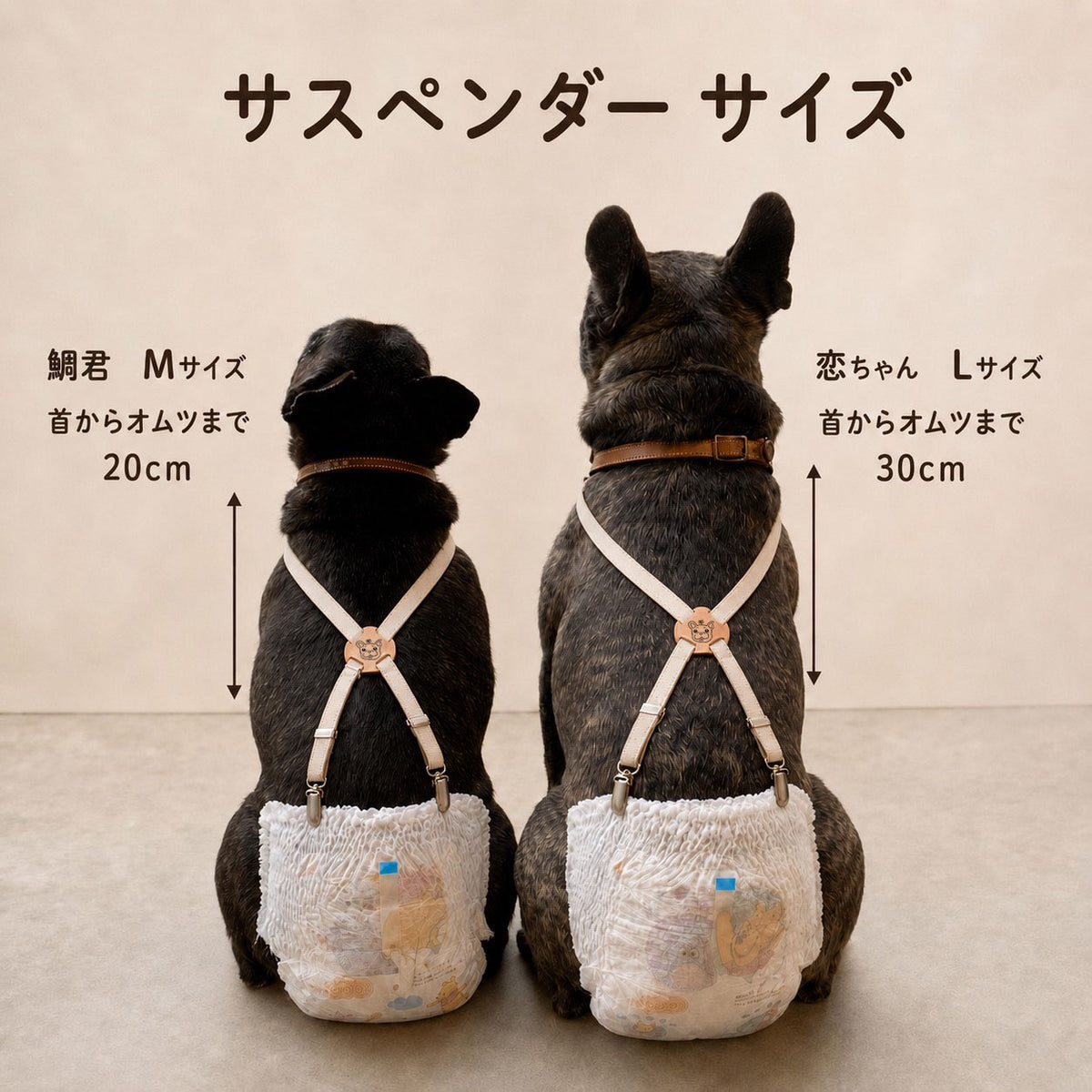 サスペンダー