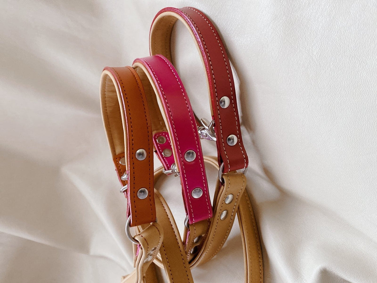 NEW LEASH SOFTY