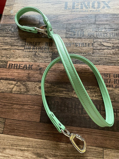 NEW LEASH SOFTY
