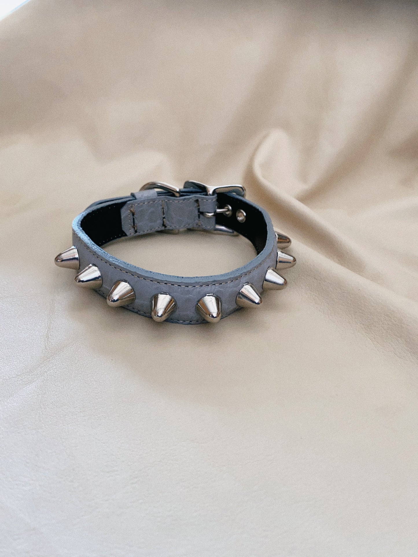 Tusk 01-new_c