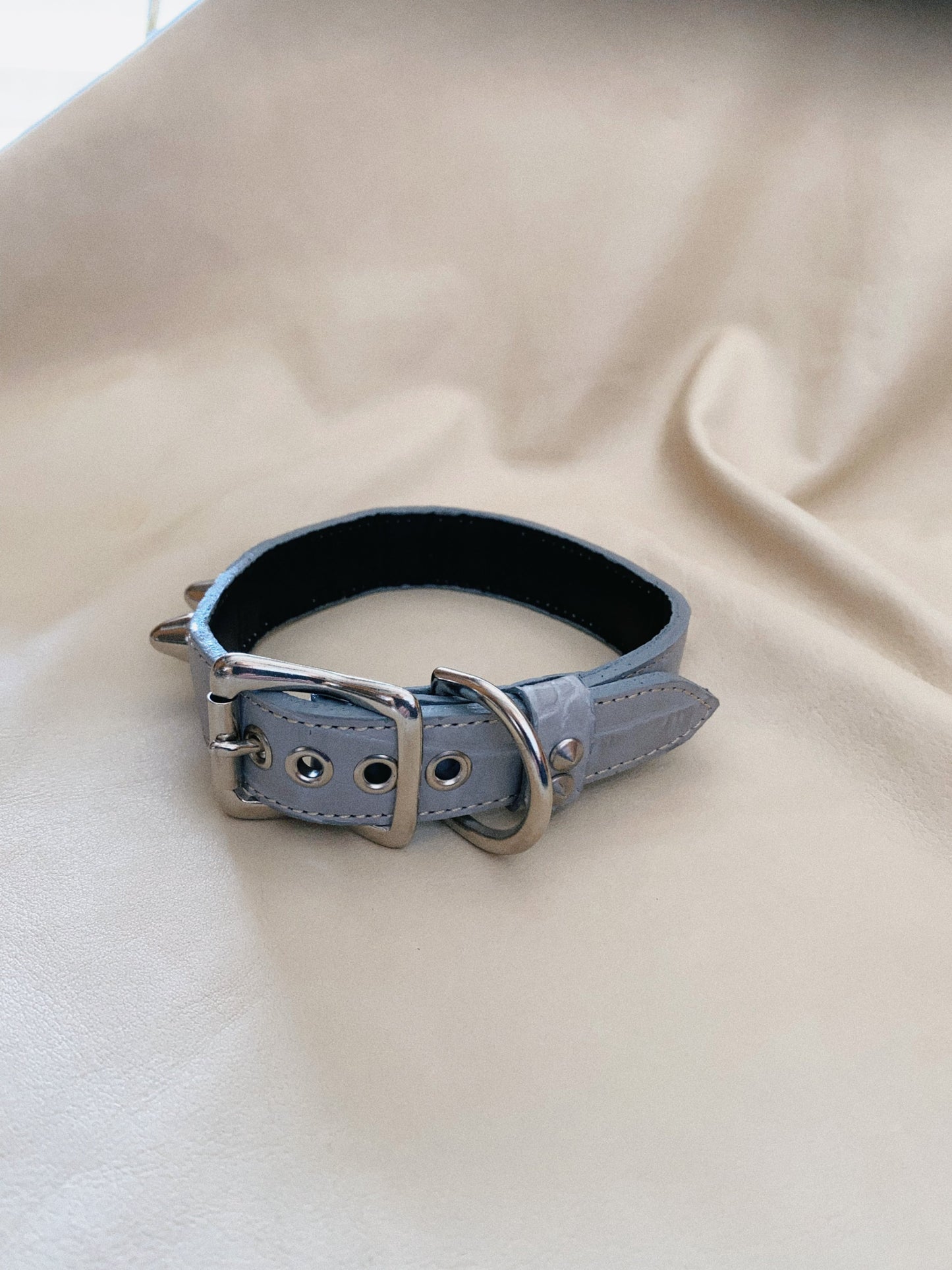 Tusk 01-new_c